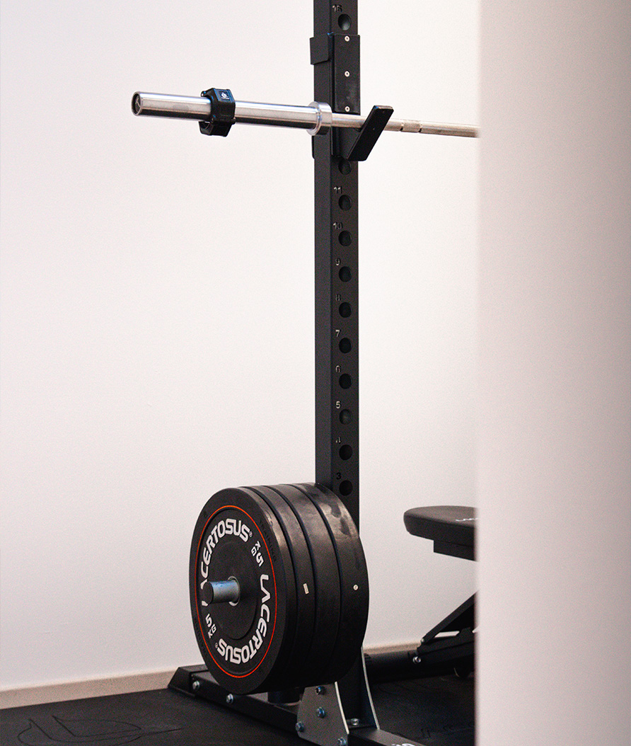 Palestra